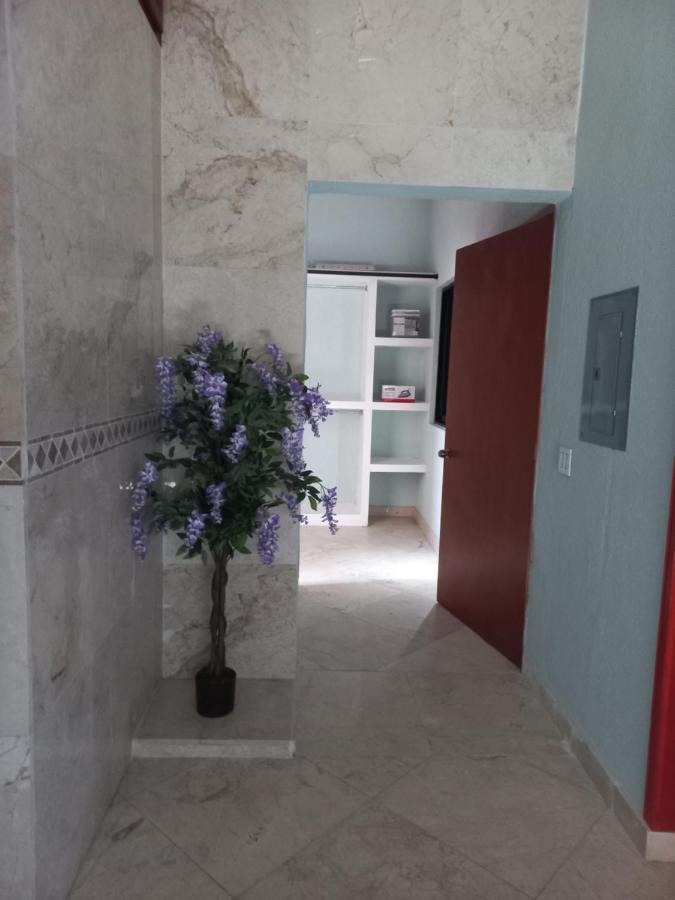 Departamento Tayde Apartment San Jose del Cabo Ngoại thất bức ảnh